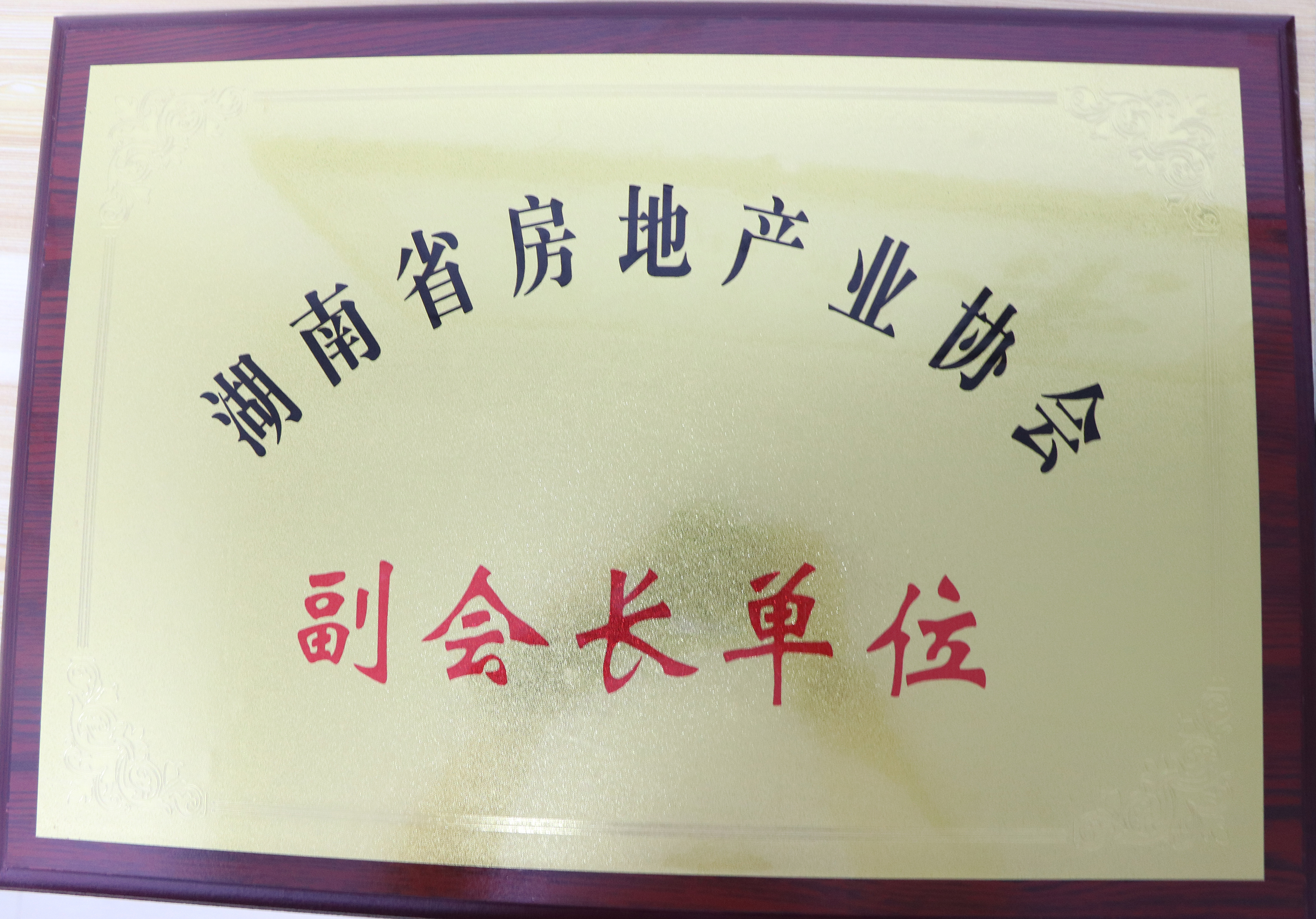 湖南省房地產業協會副會長單位