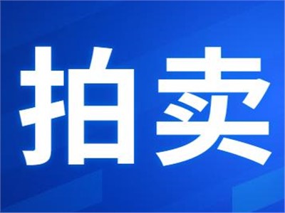 希爾得拍賣|衡東縣公共機構(gòu)屋頂光伏發(fā)電項目27年特許經(jīng)營權(quán)拍賣公告