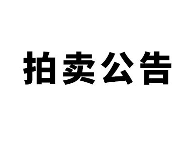 希爾得拍賣|新寧縣智慧停車及充電基礎設施項目特許經(jīng)營權(quán)網(wǎng)上拍賣公告